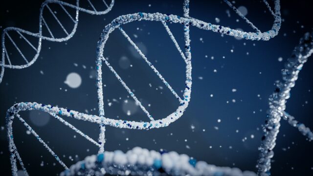 Il Genoma Quantistico Collettivo