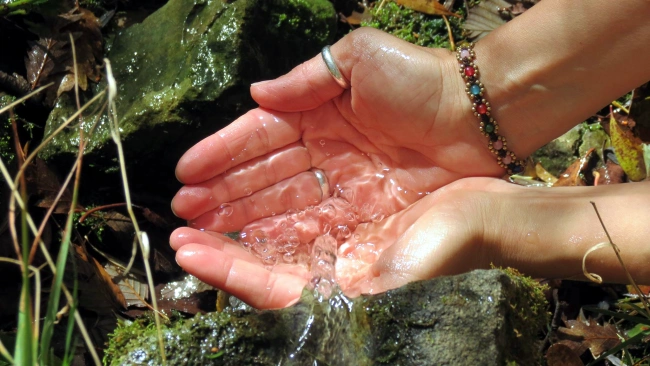 ACQUA, BENE PREZIOSO DA PROTEGGERE  